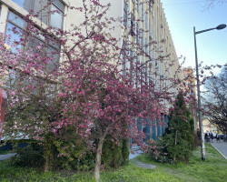 Делимично преиначена пресуда у парничном поступку тужилаца Б.Р. и др. против тужених Акционарског друштва за управљање јавном железничком инфраструктуром „Инфраструктура железнице Србије” Београд и Републике Србије ради накнаде штете