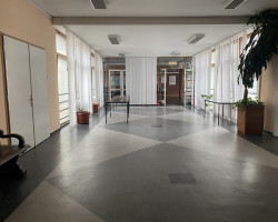 Донета одлука за убиство мајке у Мичуриновој улици