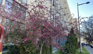 Саопштење за јавност