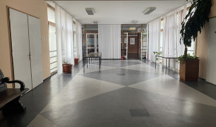 Донета одлука за убиство мајке у Мичуриновој улици