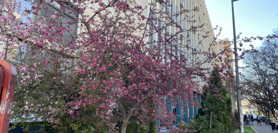 Делимично преиначена пресуда у парничном поступку тужилаца Б.Р. и др. против тужених Акционарског друштва за управљање јавном железничком инфраструктуром „Инфраструктура железнице Србије” Београд и Републике Србије ради накнаде штете